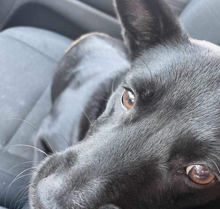 Photo of Jack