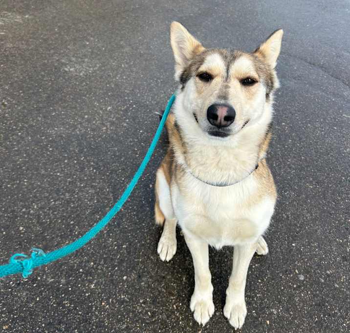 Photo of Wile E.