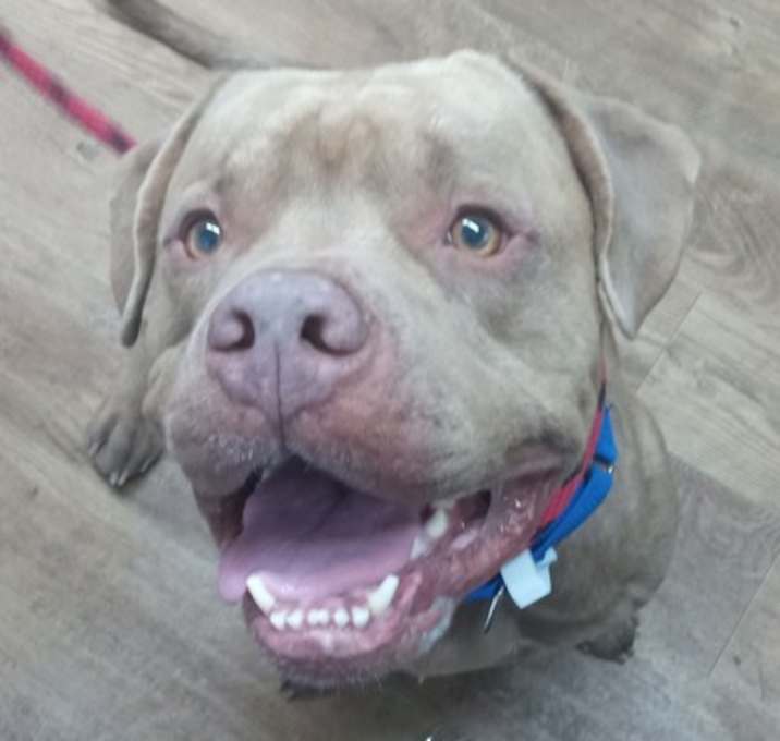 Photo of Jameson