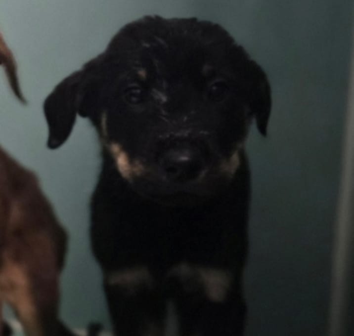 Photo of Aang