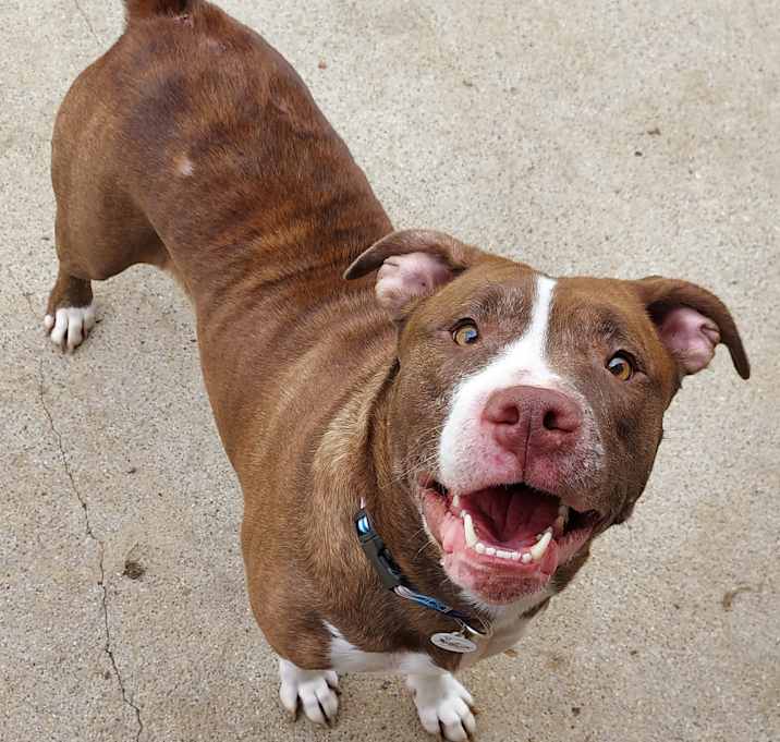 Photo of Gretchen