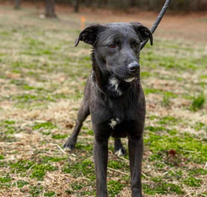 Photo of Hershey