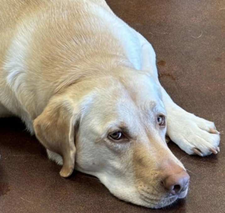 Photo of Molly Urgent