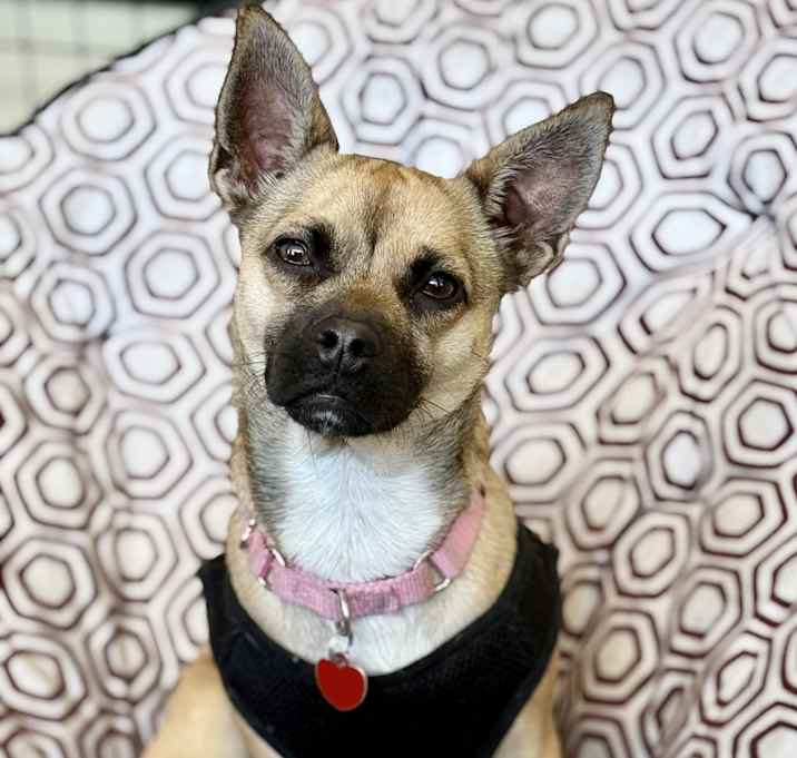 Photo of Coco Mocha