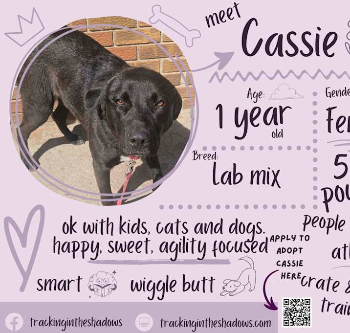 Photo of Cassie