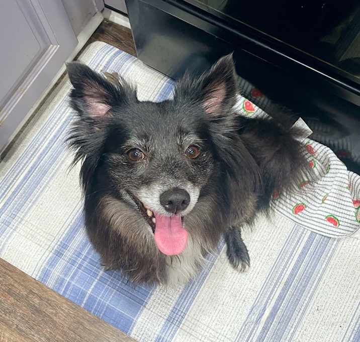Photo of Evie