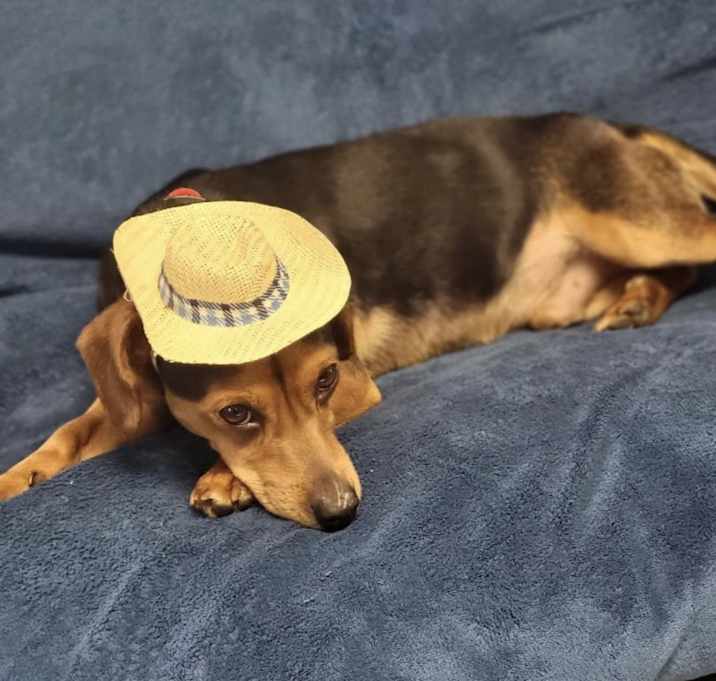 Photo of Teddy