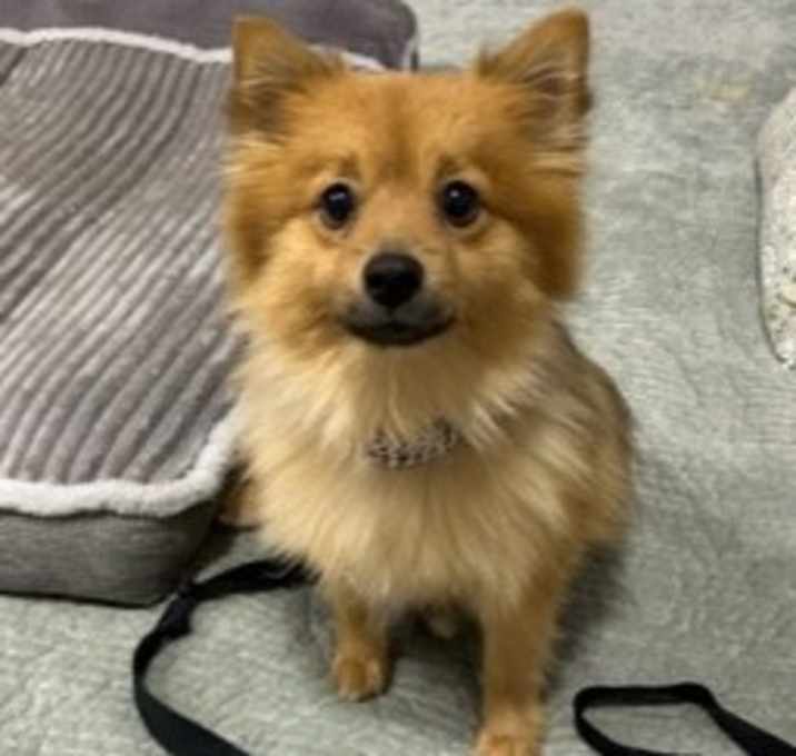 Photo of Maxi