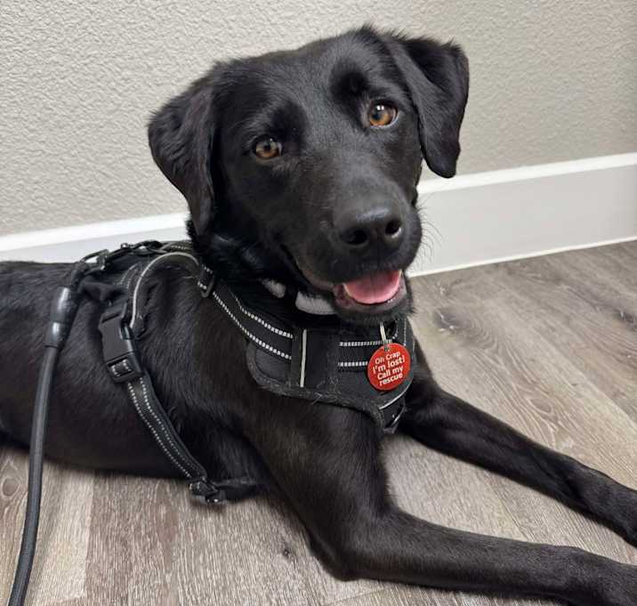 Photo of Clover