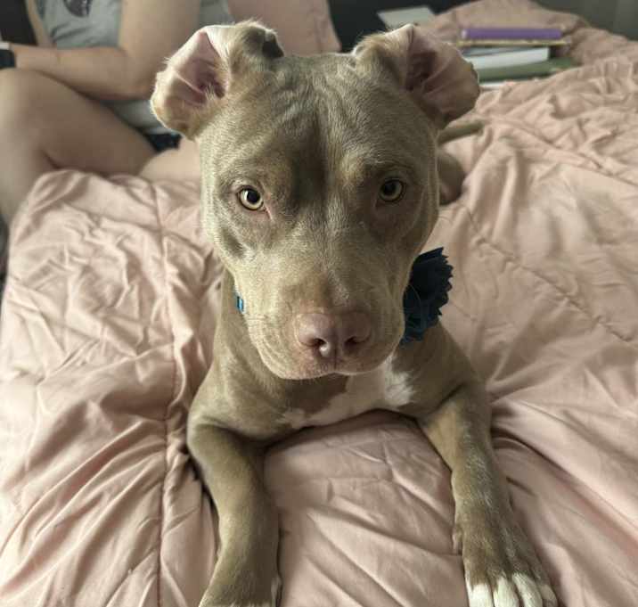 Photo of Hazel