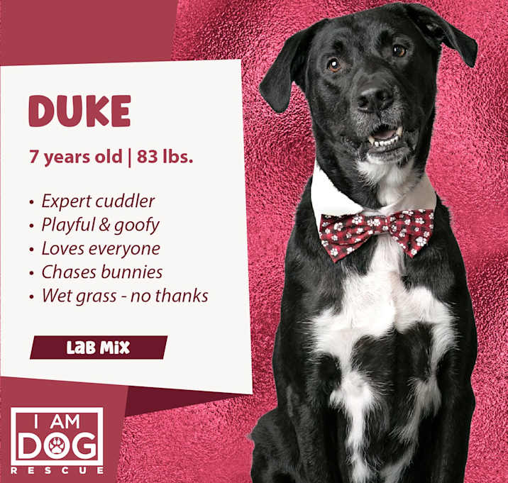 Photo of Duke