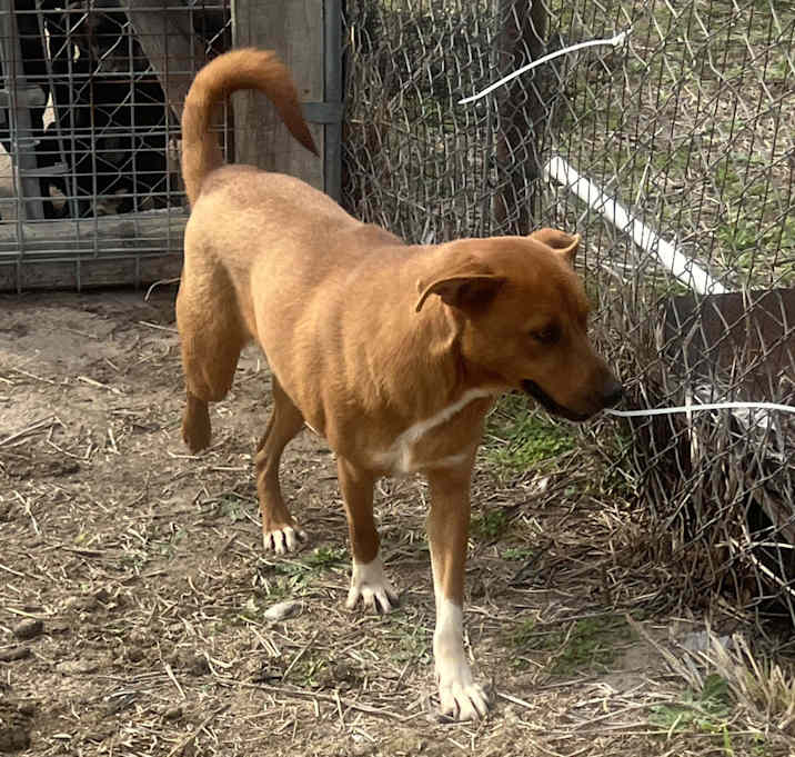 Photo of Danner