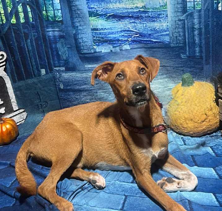Photo of Danner