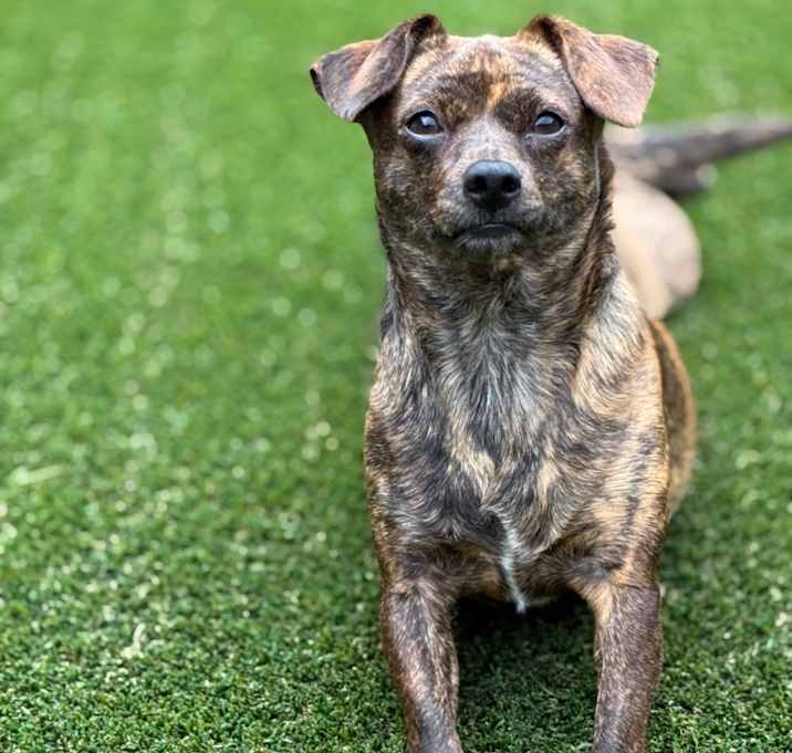 Photo of Macy