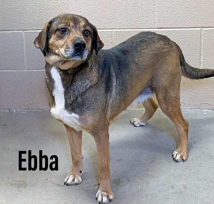 Photo of Ebba