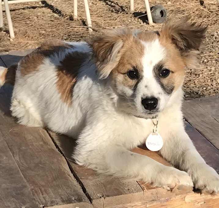 Photo of Kaiser