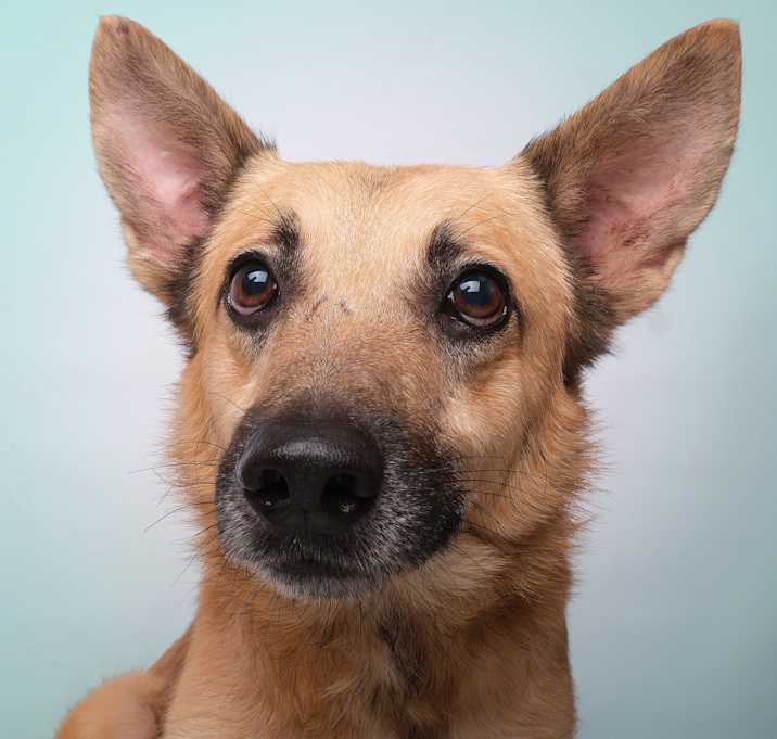 Photo of Maximo C