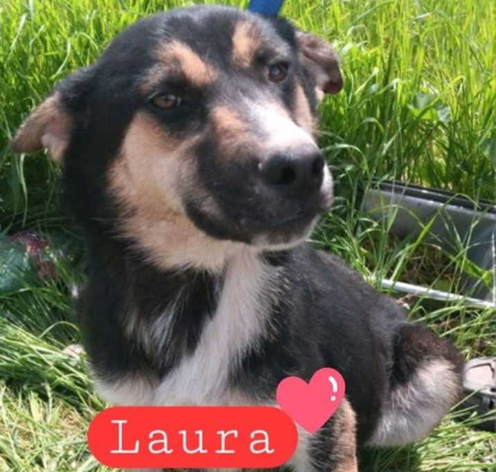Photo of Laura