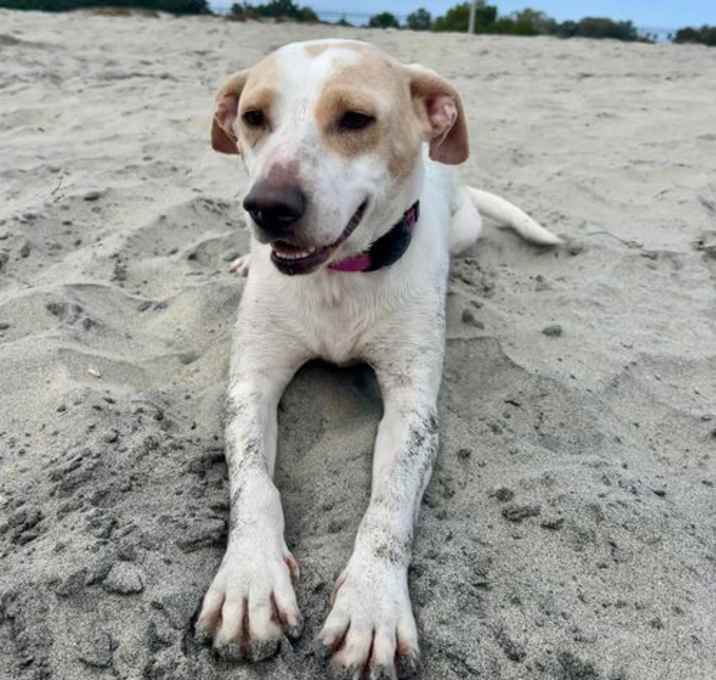 Photo of Bree