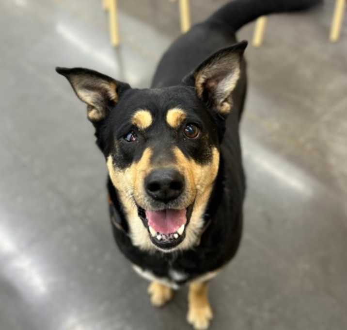 Photo of Lexy