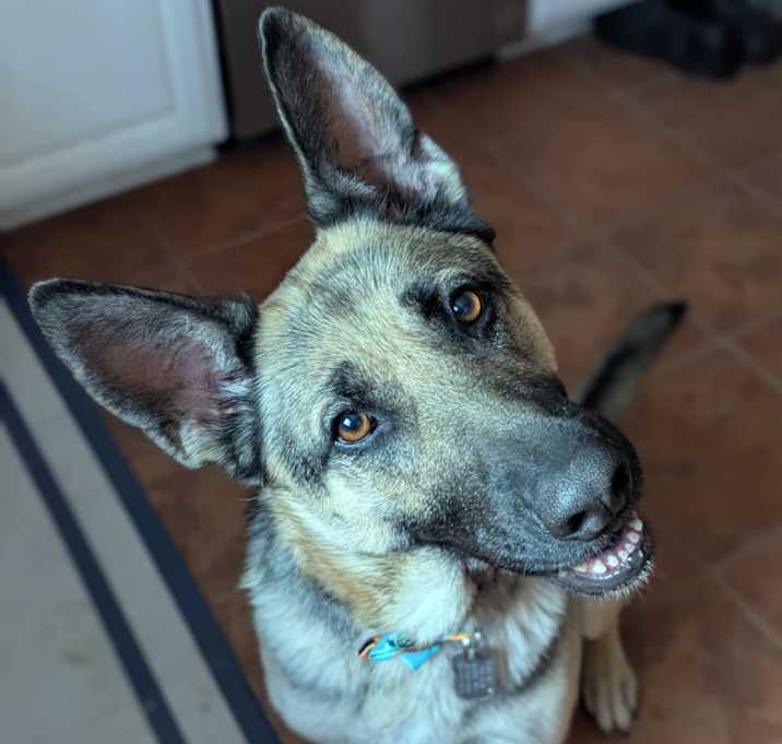 Photo of Sweetheart