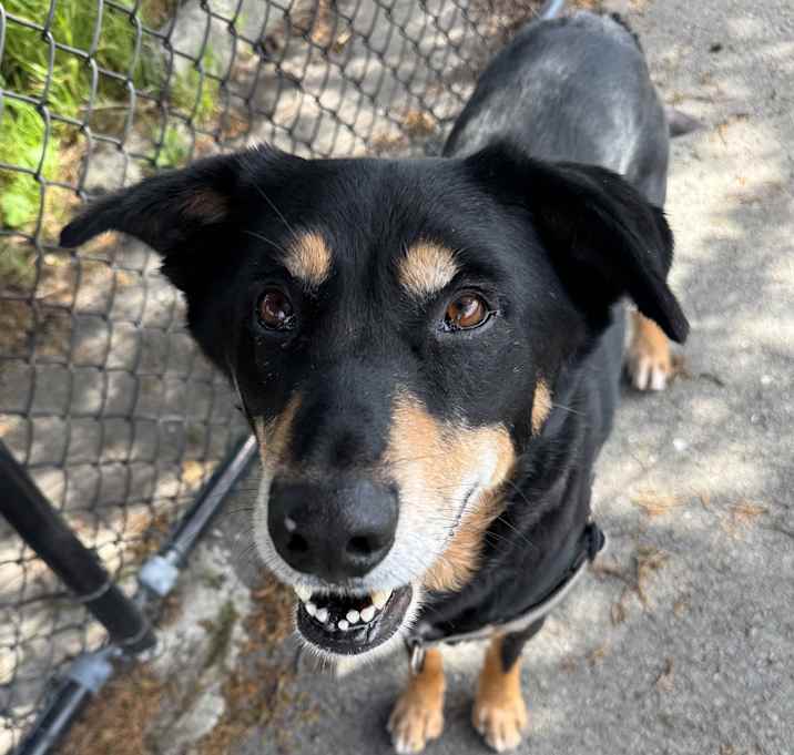 Photo of Buddy