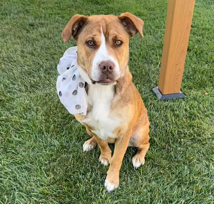 Photo of Hazel