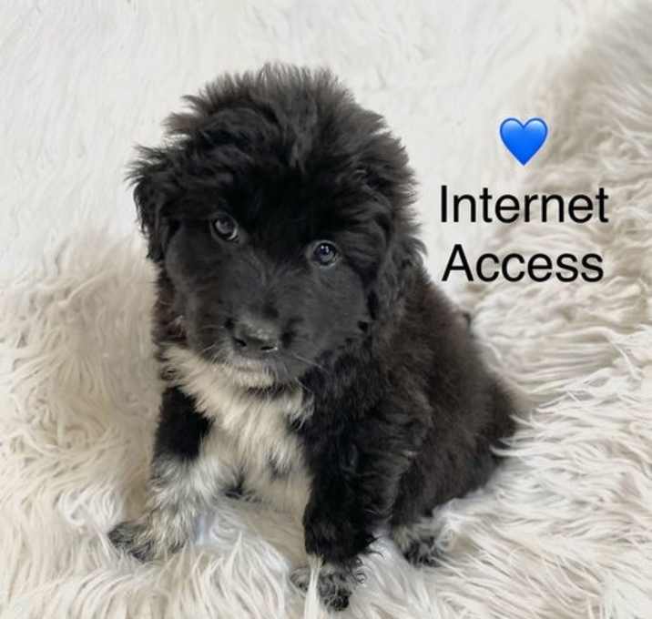 Photo of Internet Access