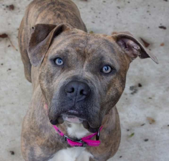 Photo of Jaylah