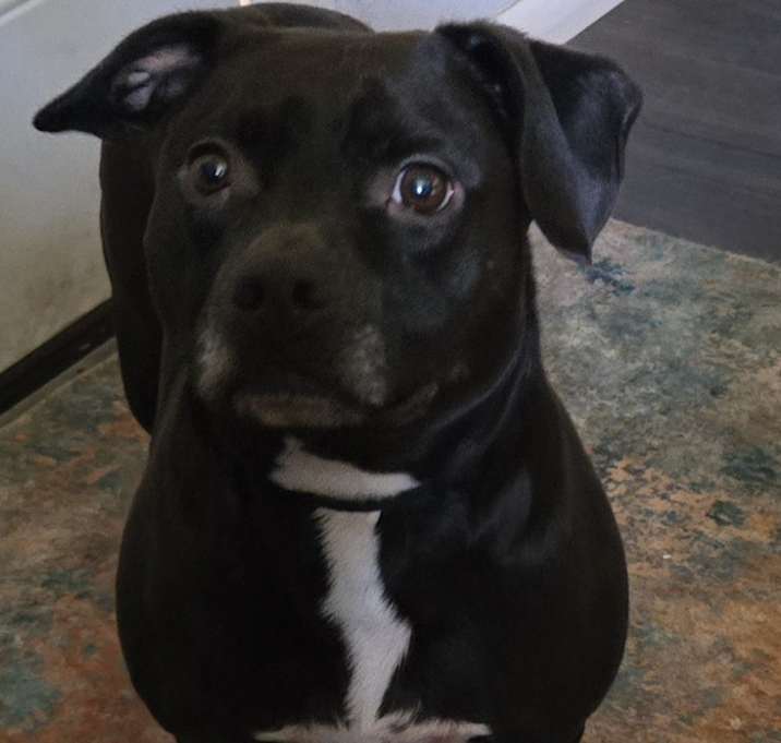 Photo of Frito
