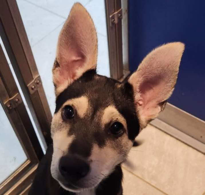 Photo of Hope
