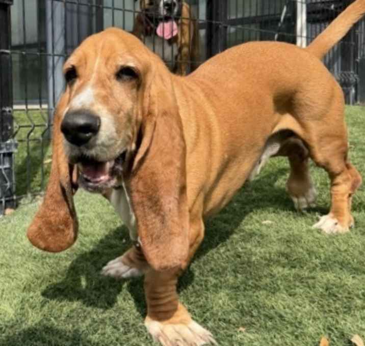 Photo of Chief