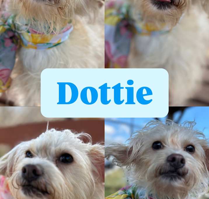 Photo of Dottie