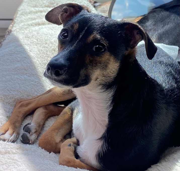 Photo of Zeus