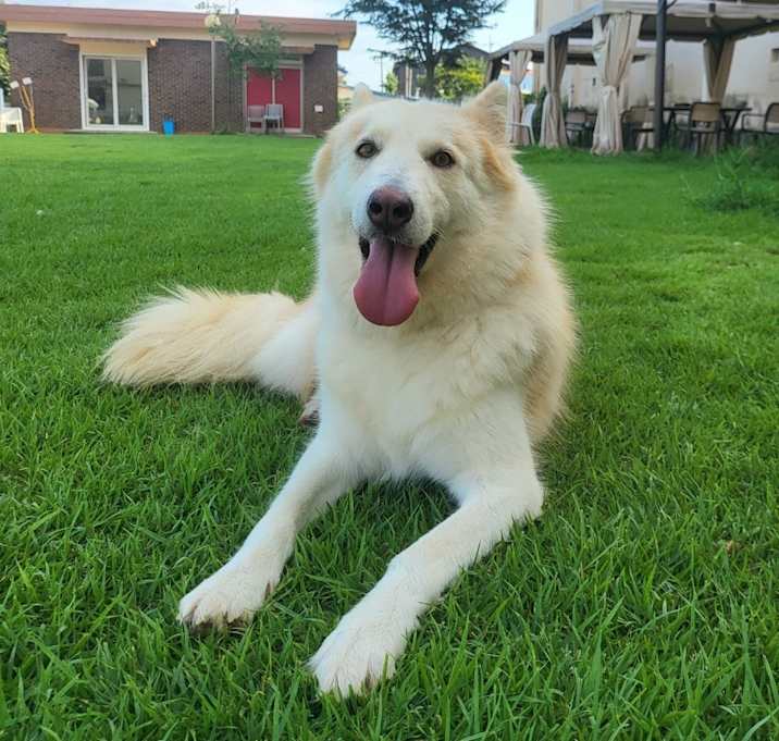 Photo of SEMI