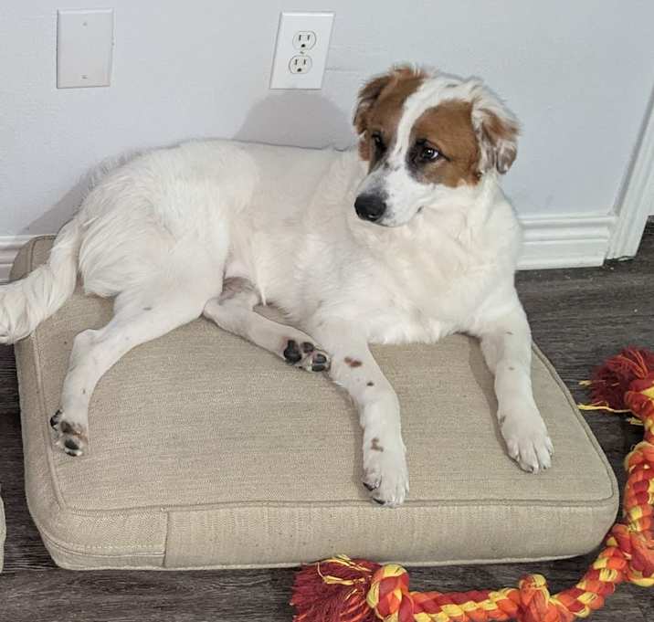Photo of Duke