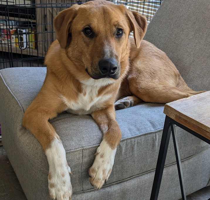 Photo of Cali