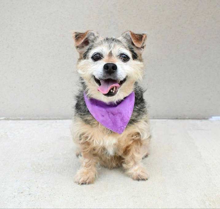 Photo of Birdie