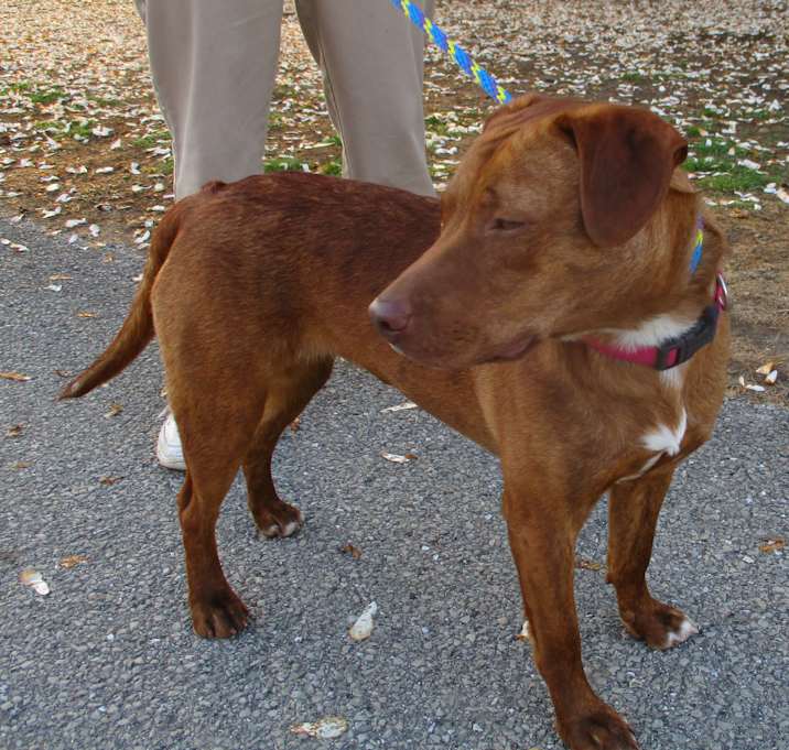 Photo of Mable