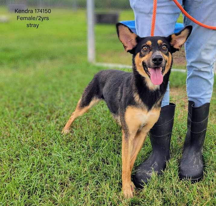Photo of Kendra