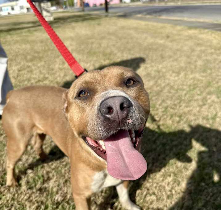 Photo of Ranger