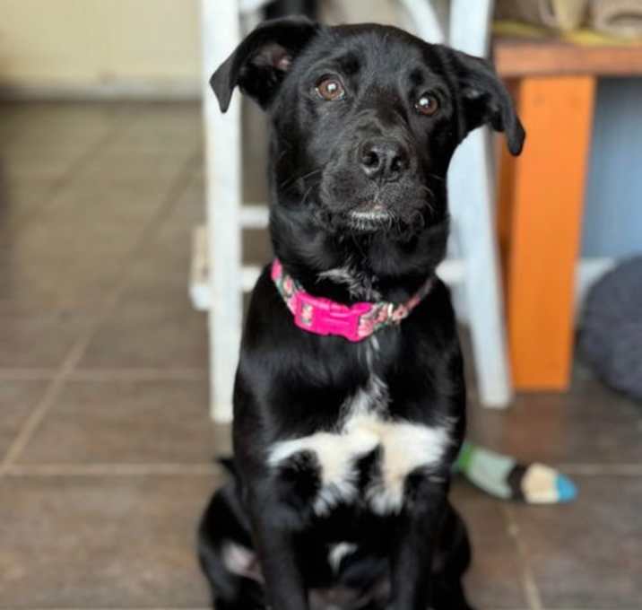 Photo of Minerva