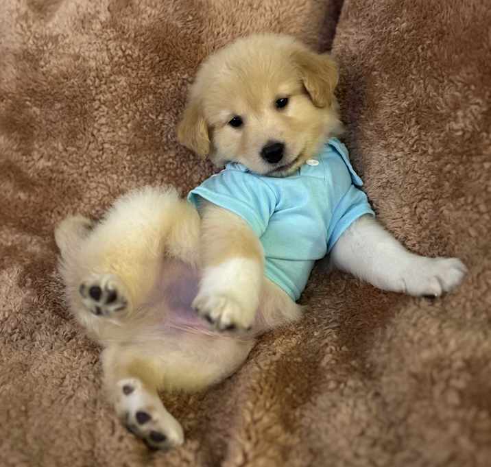 Photo of Sleepy