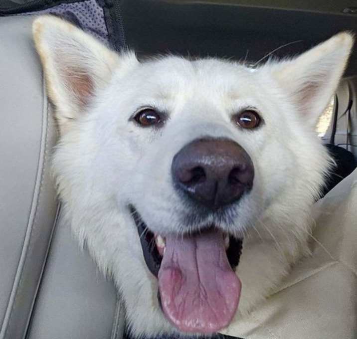Photo of BOO