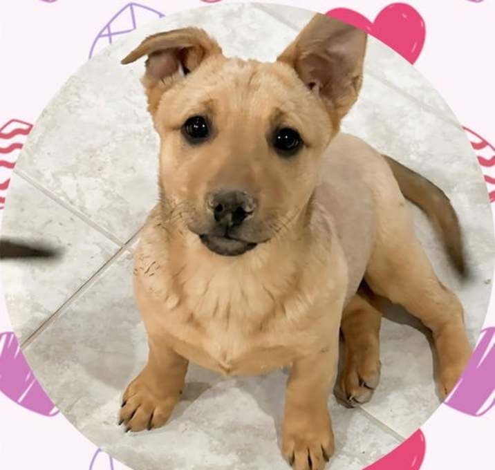 Photo of Beautiful BEA