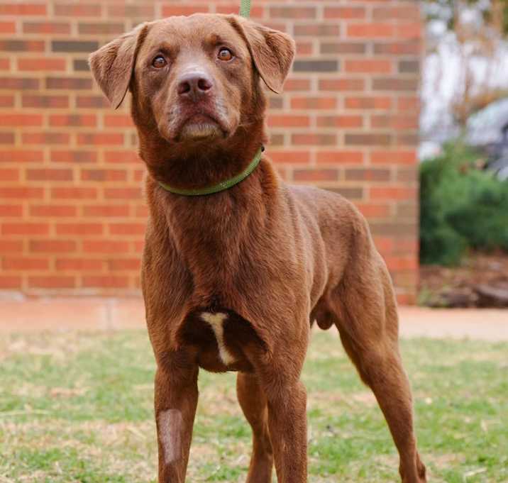 Photo of Zeke