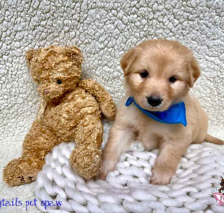 Photo of Happy