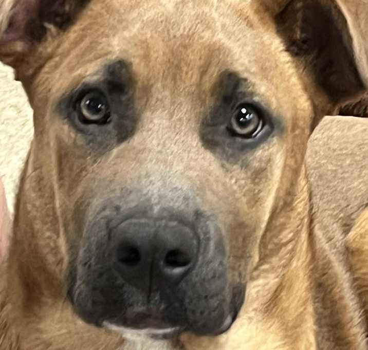 Photo of Tundra