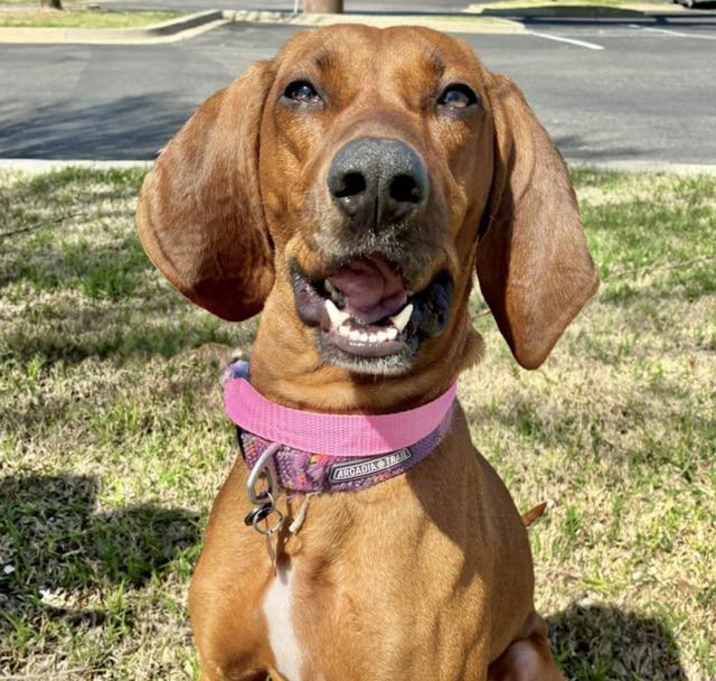Photo of Ellie