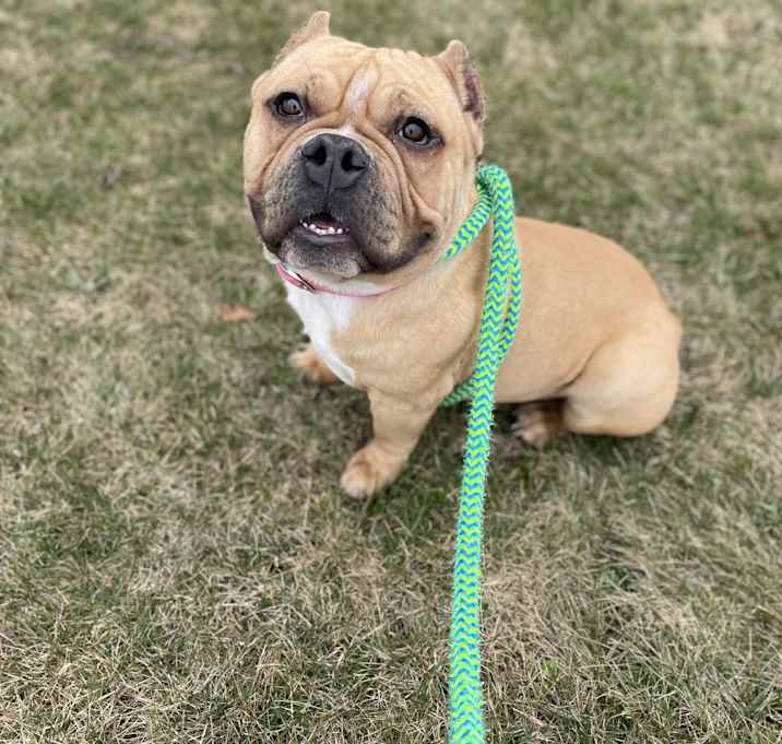 Photo of Bunky